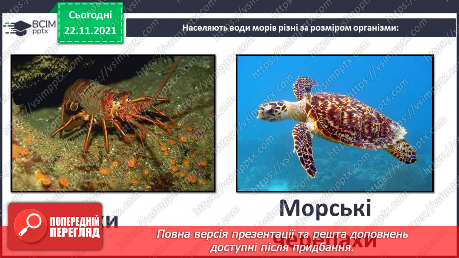 №014 - Виготовлення фігурки одного з мешканців моря4