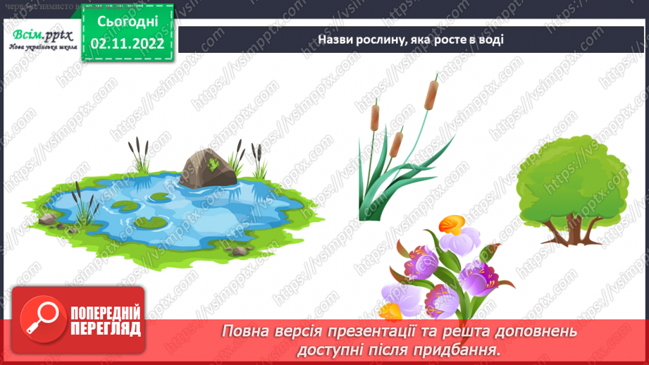 №0035 - Які бувають рослини? Де вони ростуть?21