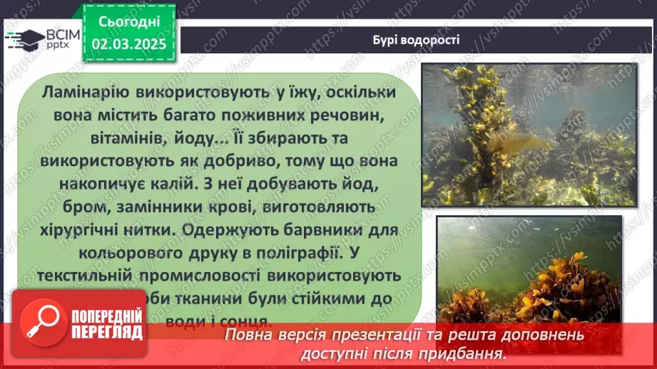 №074 - Різноманітність рослин. ст.59-6133