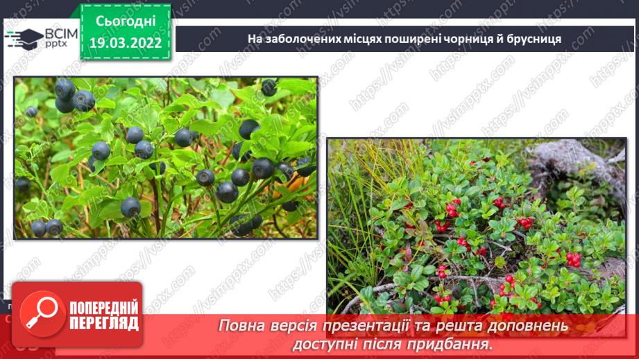 №078 - Природні зони України. Мішані та широколисті ліси.7 №078 - Природні зони України. Мішані та широколисті ліси.7