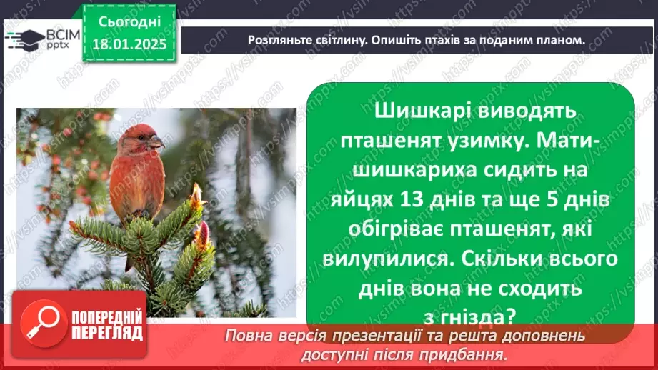 №0055 - Як зимують птахи та звірі18 №0055 - Як зимують птахи та звірі18