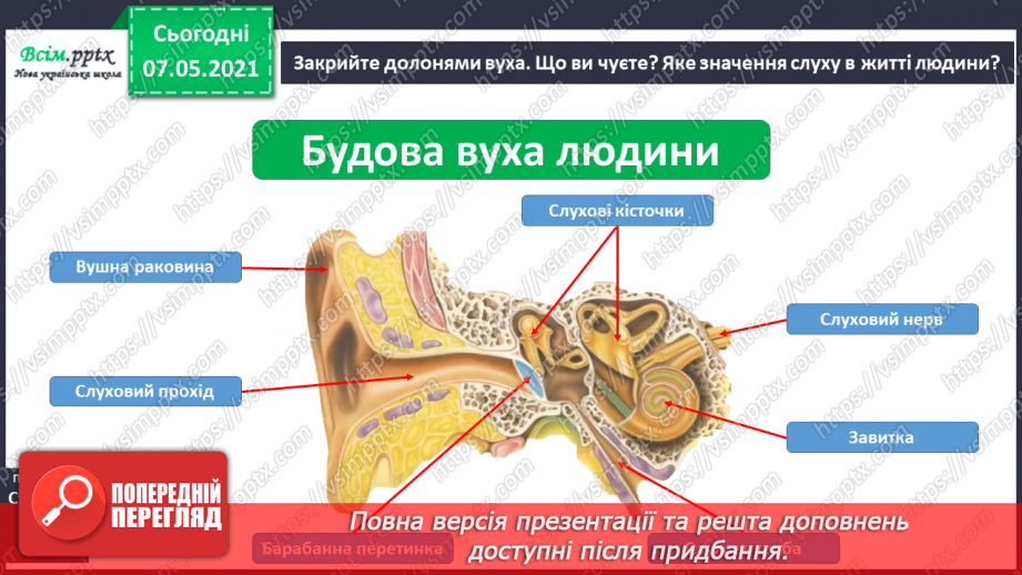 №061 - Яка роль органів чуття7