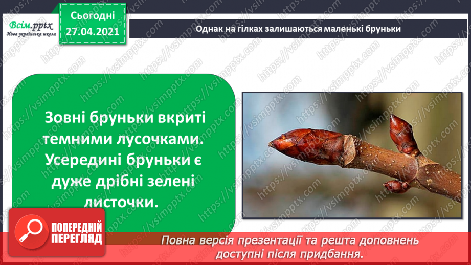 №032 - Як рослини готуються до зими11