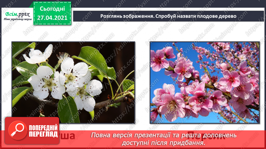 №075 - Як почуваються рослини навесні?26 №075 - Як почуваються рослини навесні?26