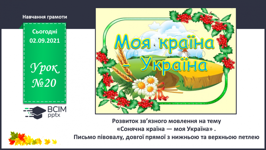 №020 - Розвиток зв’язного мовлення на тему «Сонячна країна — моя Україна» .  Письмо півовалу, довгої прямої з нижньою та верхньою петлею.0