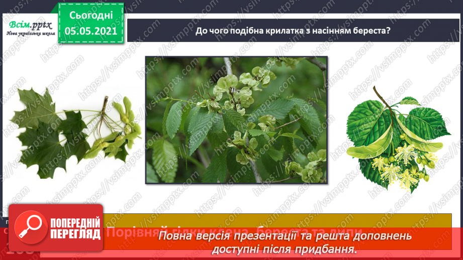 №092 - Оберігаю ліс, плекаю його красу.13