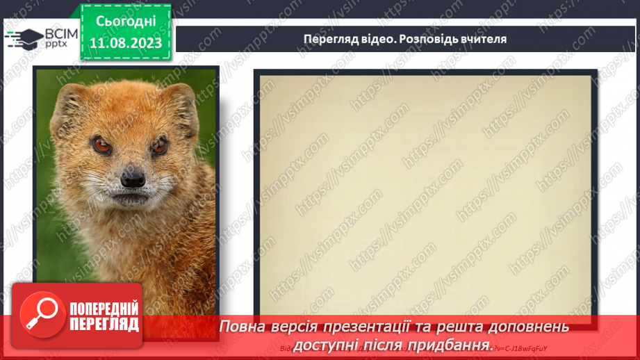 №22 - ПЧ 3 Джозеф Редьярд Кіплінґ. «Книга Джунглів». «Рікі-Тікі-Таві»9 №22 - ПЧ 3 Джозеф Редьярд Кіплінґ. «Книга Джунглів». «Рікі-Тікі-Таві»9