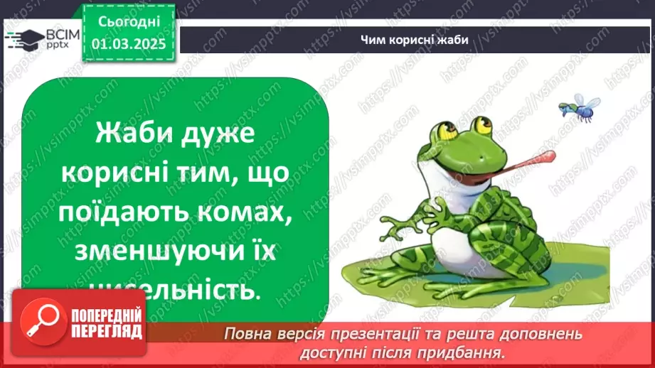 №0073 - Як змінюється життя у водоймах навесні20 №0073 - Як змінюється життя у водоймах навесні20