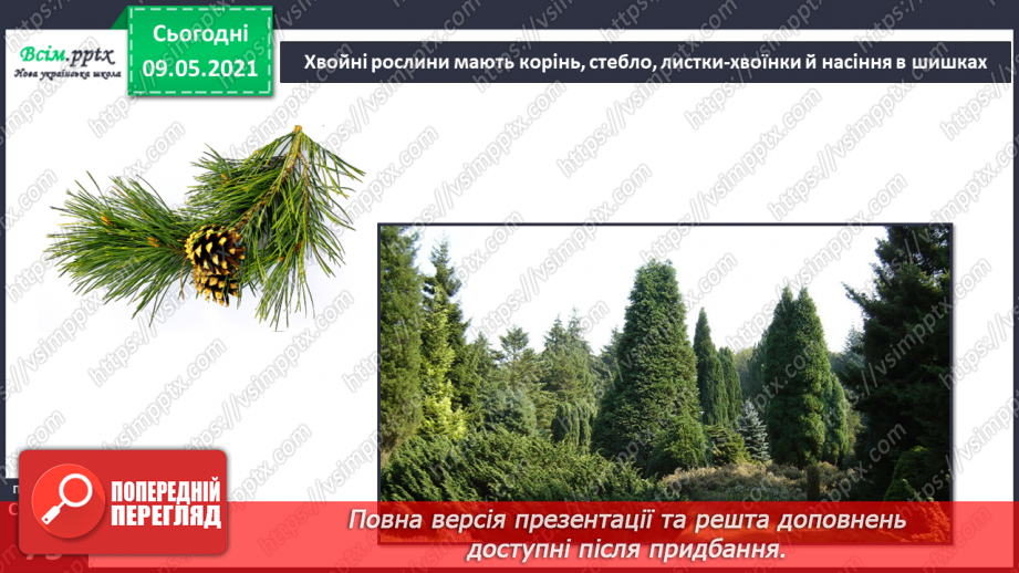 №049 - Чим особливий різноманітний світ рослин?24 №049 - Чим особливий різноманітний світ рослин?24