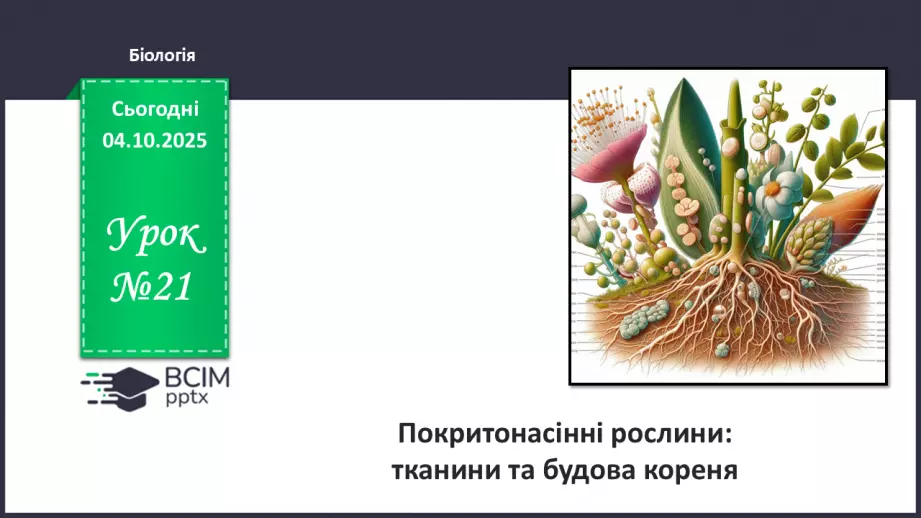 №021 - Покритонасінні рослини: тканини та будова кореня0 №021 - Покритонасінні рослини: тканини та будова кореня0