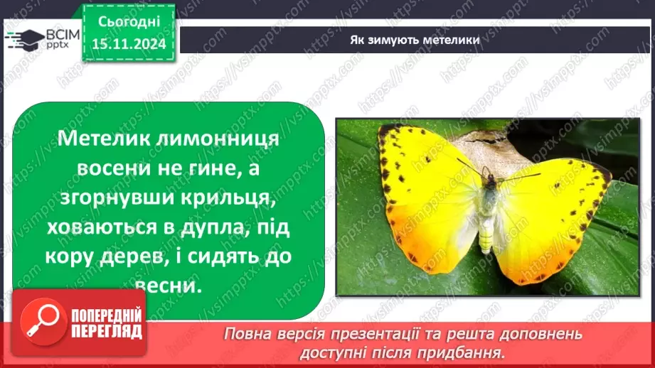 №0034 - Як осінні зміни впливають на комах10 №0034 - Як осінні зміни впливають на комах10