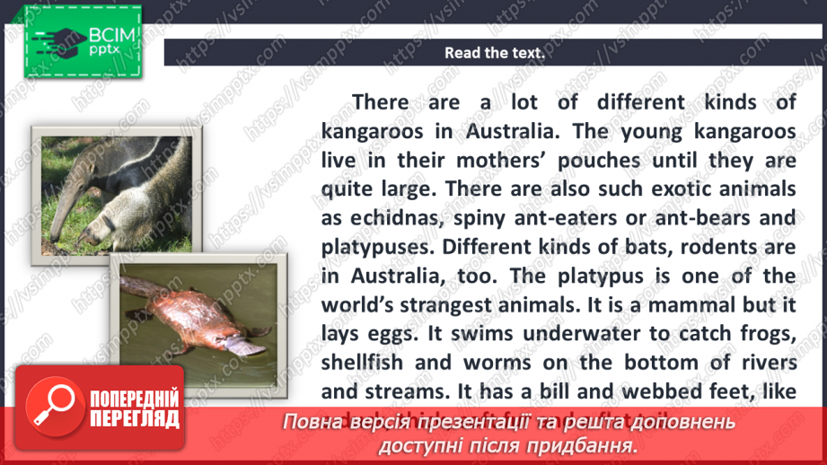№081 - Fact File. Australia. Wildlife and Wild Flowers of Australia.11 №081 - Fact File. Australia. Wildlife and Wild Flowers of Australia.11