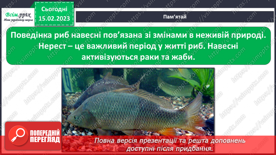 №24 - Виготовлення жабки в техніці оригамі (двосторонній папір зеленого кольору)6 №24 - Виготовлення жабки в техніці оригамі (двосторонній папір зеленого кольору)6