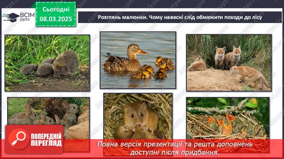 №0078 - Які зміни в житті звірів навесні21 №0078 - Які зміни в житті звірів навесні21