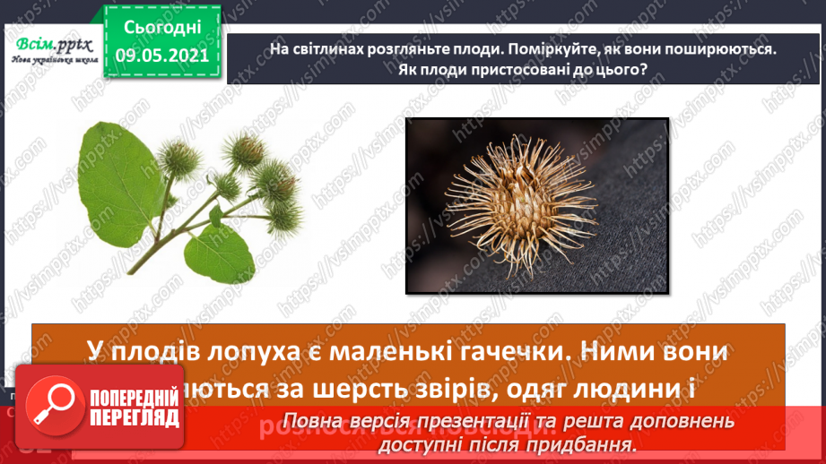 №054 - Як розмножуються рослини?21 №054 - Як розмножуються рослини?21