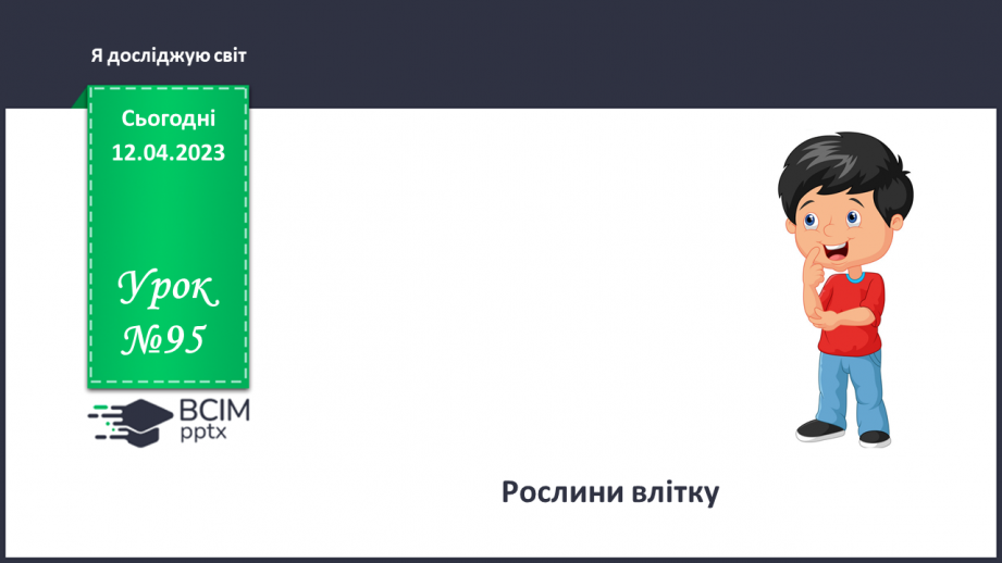 №0095 - Рослини влітку0