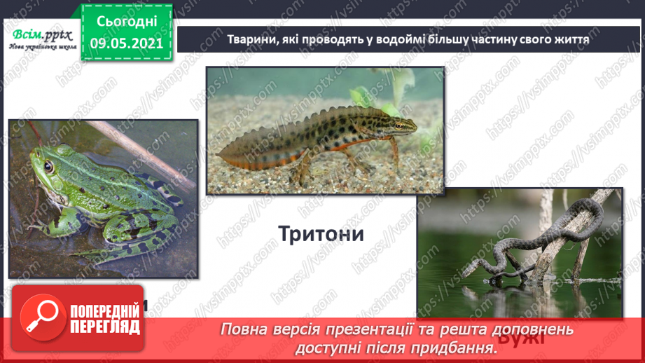№074-75 - Які тварини живуть на луках, у степах і водоймах?32