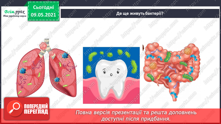 №080 - Хто такі мікроби й бактерії?12