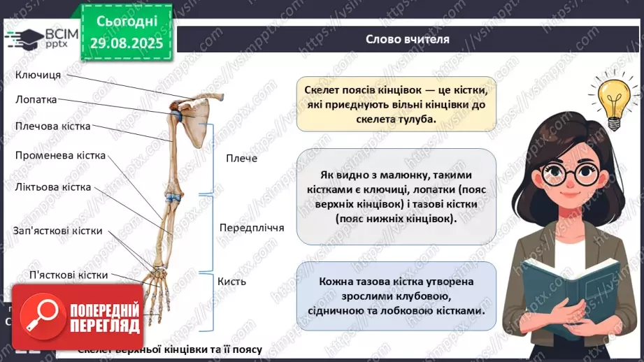 №005 - Будова, функції та особливості скелета людини.16 №005 - Будова, функції та особливості скелета людини.16