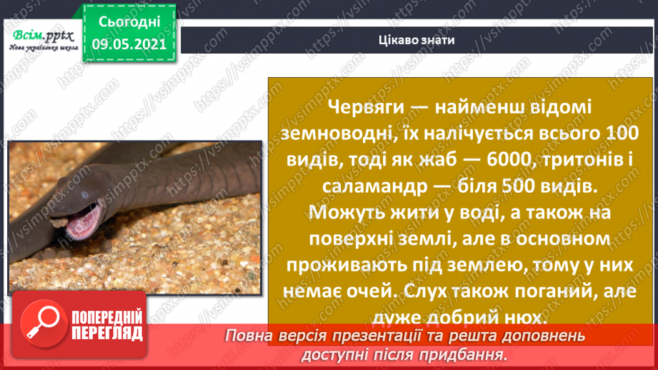 №064 - Чому земноводні мають таку назву?24 №064 - Чому земноводні мають таку назву?24