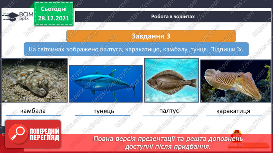 №050 - Підводний світ Тихого океану.20 №050 - Підводний світ Тихого океану.20