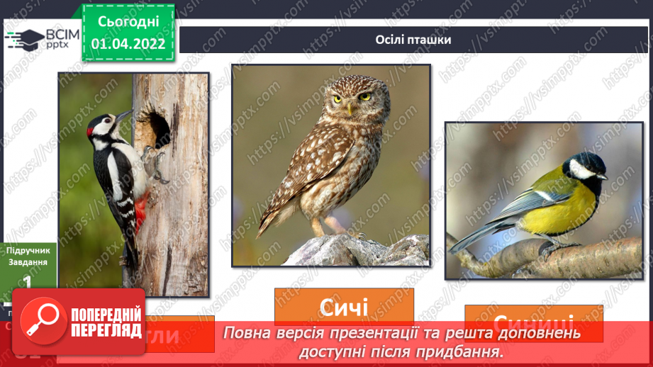 №084 - Як мандрують птахи?15 №084 - Як мандрують птахи?15