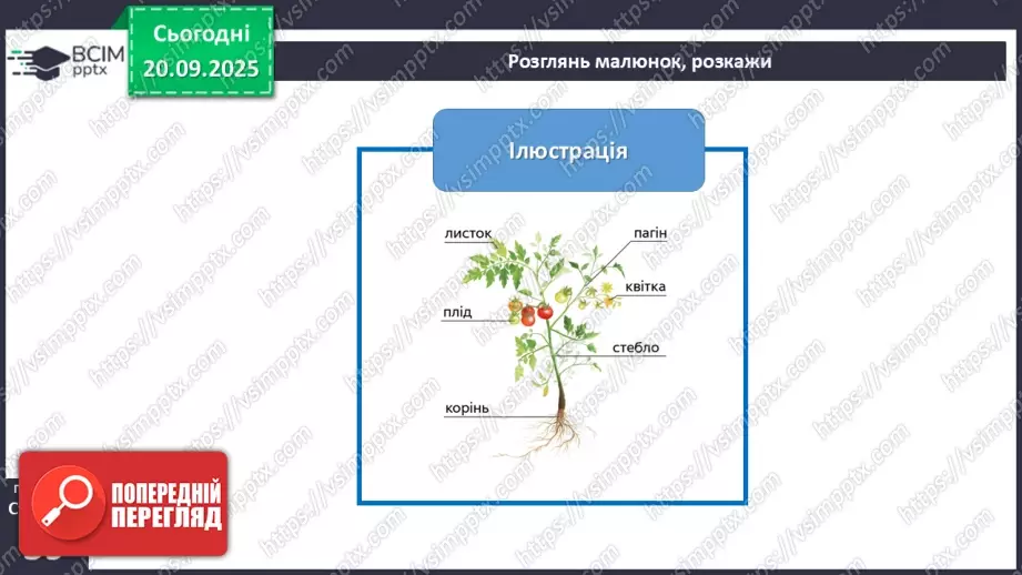 №015 - Джерела інформації про природу та способи її подання.12 №015 - Джерела інформації про природу та способи її подання.12