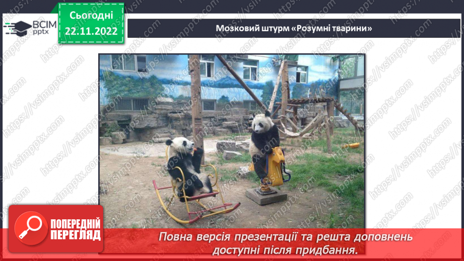 №045 - Найрозумніші тварини.8