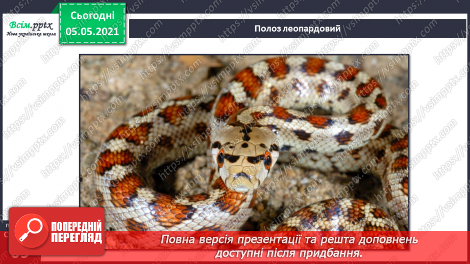 №044 - Різноманітність тварин у природі. Плазуни12 №044 - Різноманітність тварин у природі. Плазуни12