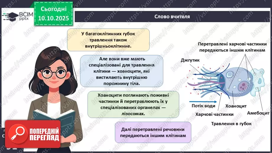 №022 - Живлення як властивість живого. Еволюція травної системи тварин.17 №022 - Живлення як властивість живого. Еволюція травної системи тварин.17