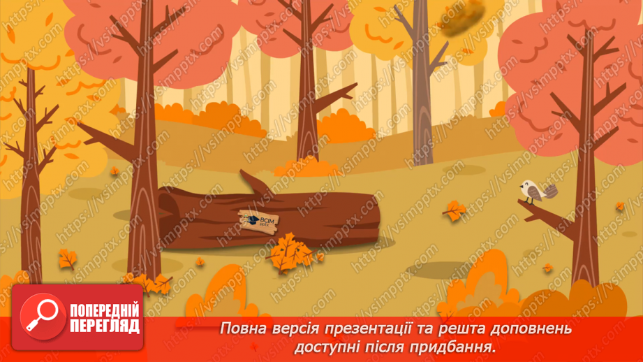 №024 - Осінь - грибна пора17 №024 - Осінь - грибна пора17