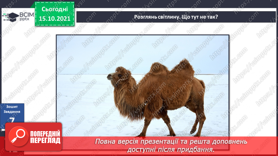 №026-28 - Рух Землі навколо Сонця. Теплові пояси24 №026-28 - Рух Землі навколо Сонця. Теплові пояси24