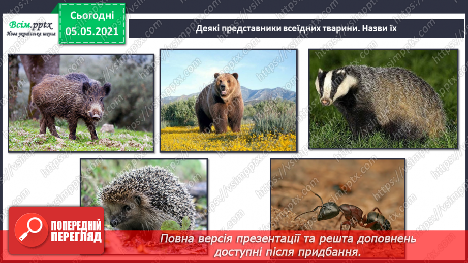 №039 - Звірі.17 №039 - Звірі.17
