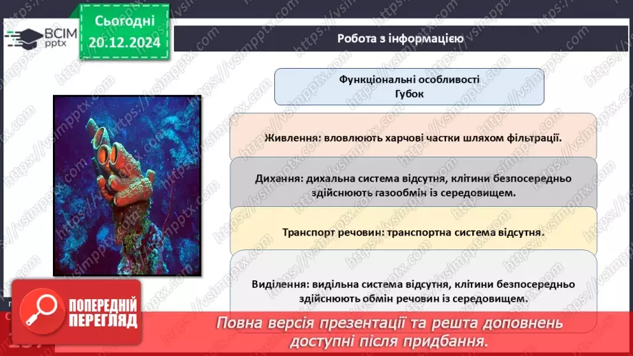№49 - Губки і Жалкі.14 №49 - Губки і Жалкі.14