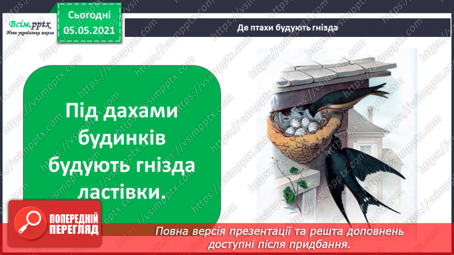 №040 - Птахи.15 №040 - Птахи.15