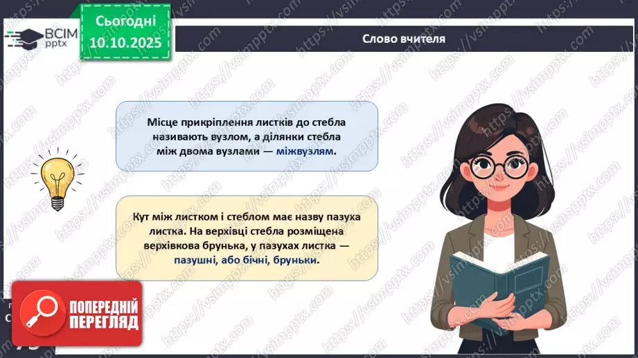 №022 - Покритонасінні рослини: будова бруньки, пагона й листка.7 №022 - Покритонасінні рослини: будова бруньки, пагона й листка.7