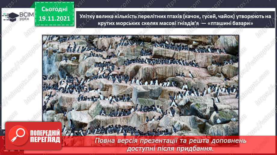 №038 - У чому виявляються особливості рослинного й тваринного світу Європи й Азії?8