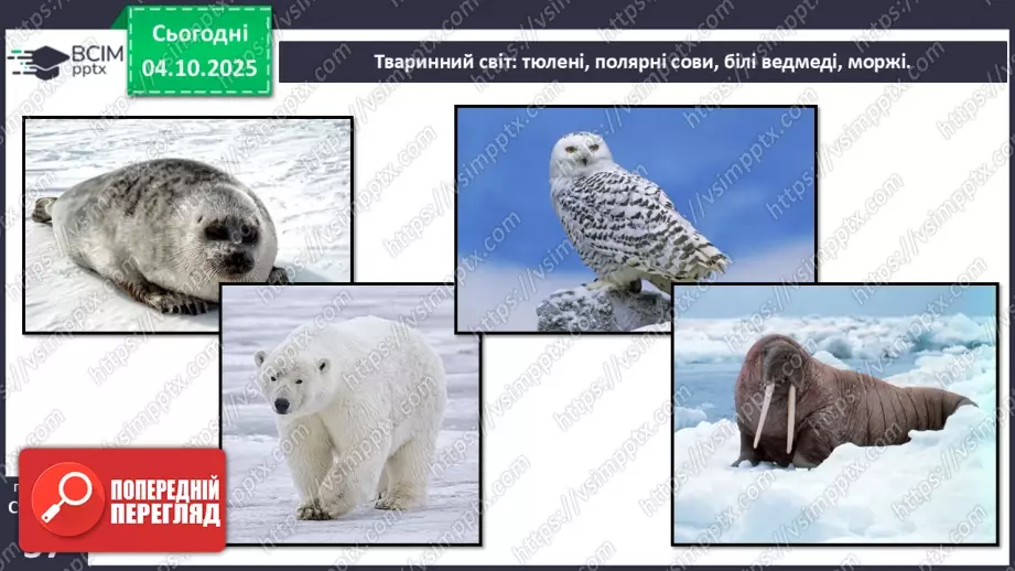 №0020 - Природні зони Землі.11 №0020 - Природні зони Землі.11