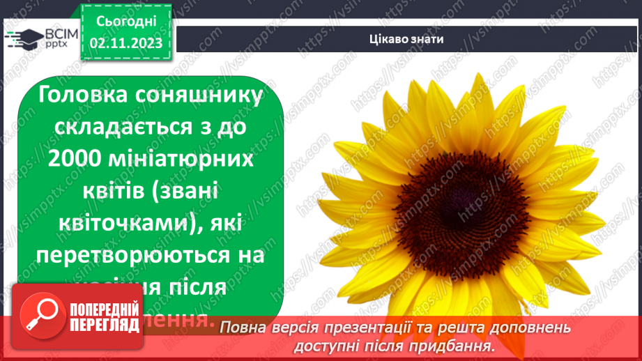 №033 - Ґрунт. Що потрібно рослині для розвитку? Як насінина соняхом стала. Подорож маленької зернинки25 №033 - Ґрунт. Що потрібно рослині для розвитку? Як насінина соняхом стала. Подорож маленької зернинки25