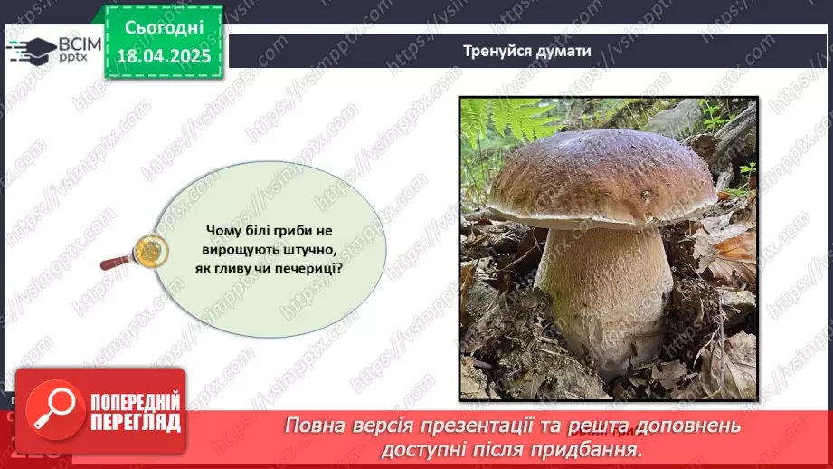 №78 - Використання грибів людиною.5 №78 - Використання грибів людиною.5