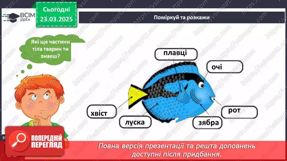 №083 - Частини тіла тварин. Хто великий?12 №083 - Частини тіла тварин. Хто великий?12