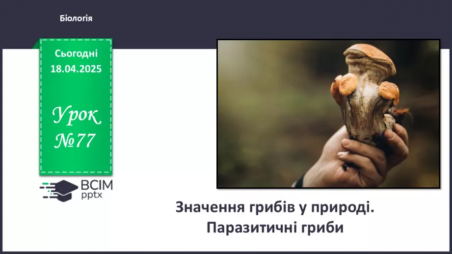 №77 - Значення грибів у природі. Паразитичні гриби (продовження).0