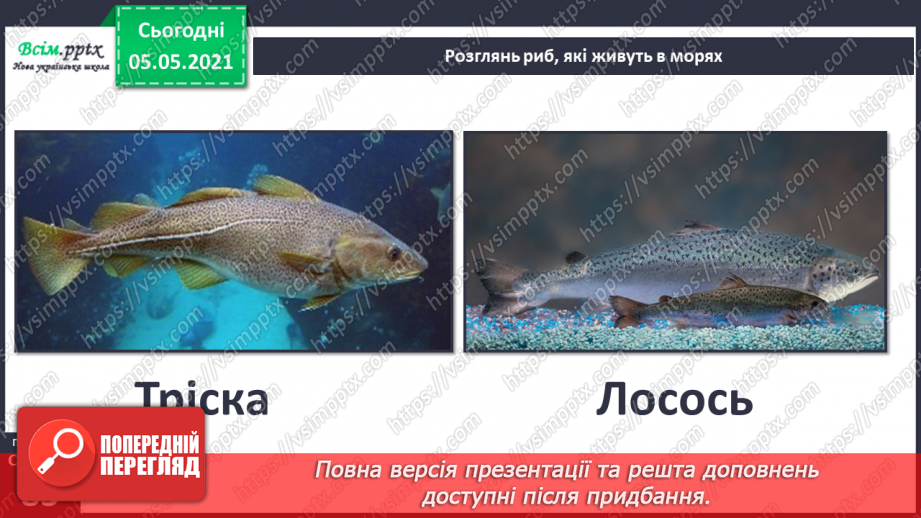 №053-54 - Природне угруповання—море. Подорож- спостереження «Природне угруповання нашої місцевості»12 №053-54 - Природне угруповання—море. Подорож- спостереження «Природне угруповання нашої місцевості»12
