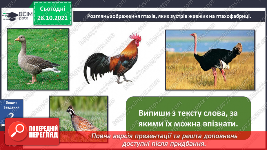 №033 - Г. Остапенко «Крихка знахідка»18 №033 - Г. Остапенко «Крихка знахідка»18