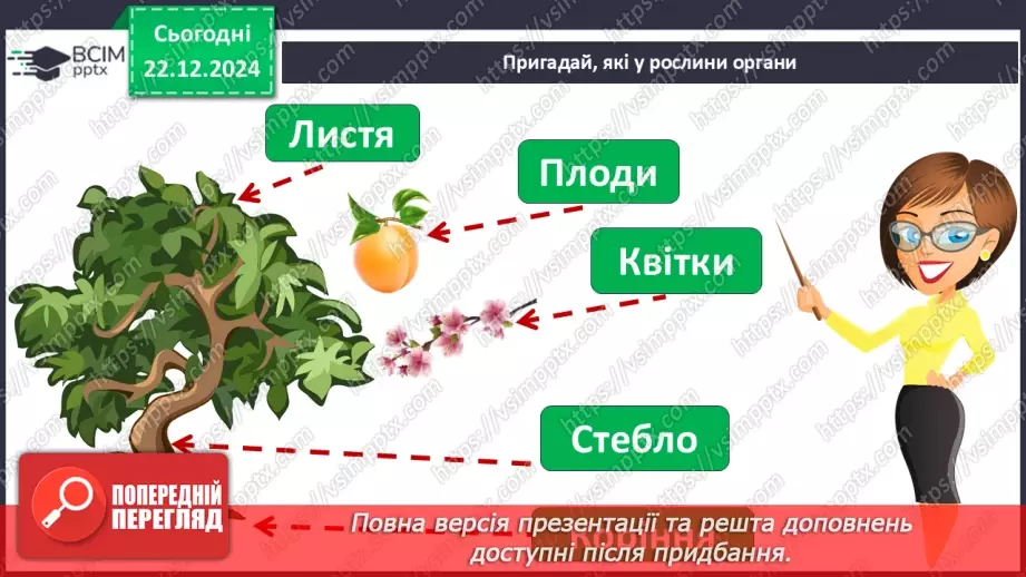 №051 - Узагальнення і систематизація знань учнів. Підсумок за семестр.15 №051 - Узагальнення і систематизація знань учнів. Підсумок за семестр.15