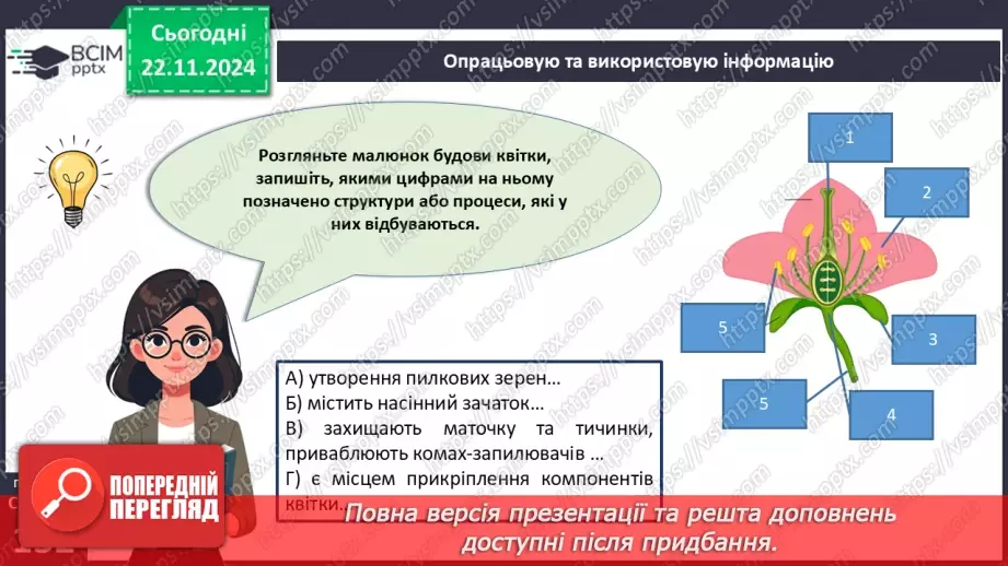 №39 - Узагальнення вивченого з теми «Різноманітність вищих рослин».4