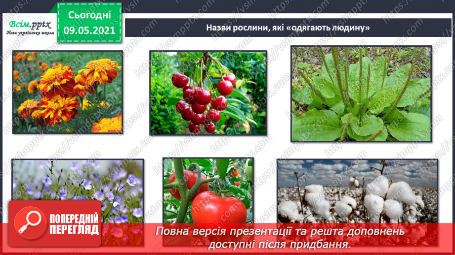 №053 - На які групи поділяють культурні рослини?19 №053 - На які групи поділяють культурні рослини?19