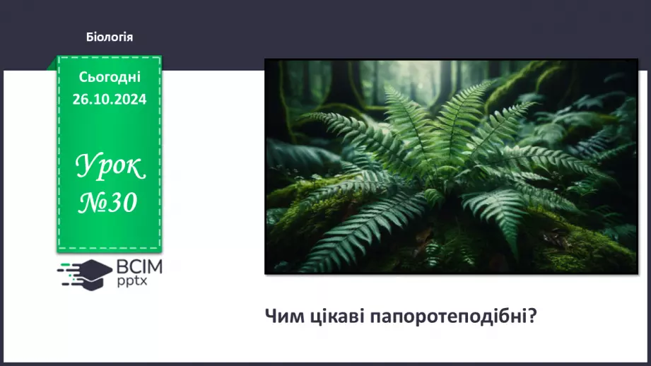 №30 - Чим цікаві Папоротеподібні?0