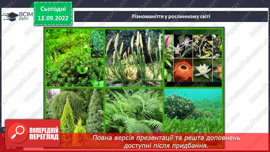 №04 - Повага до різноманіття. Толерантність, упередженість, дискримінація.7