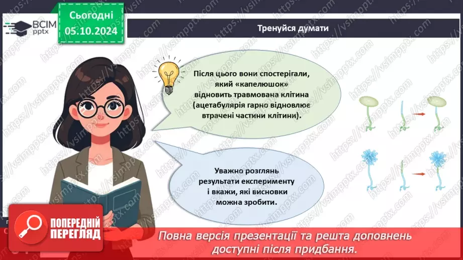 №19 - Зелені та Червоні водорості.5 №19 - Зелені та Червоні водорості.5